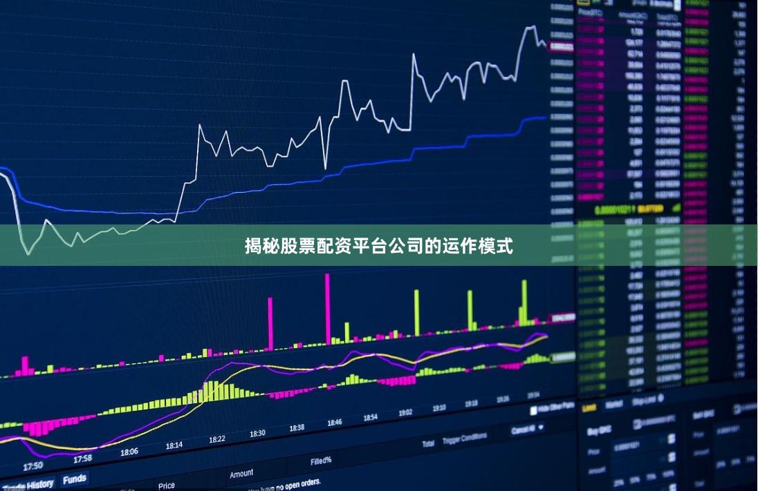 揭秘股票配资平台公司的运作模式